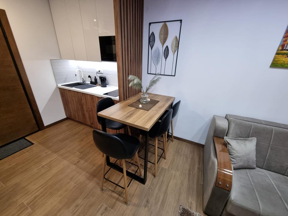 Luxury Apartment Borovi 2 Apartment in Zlatibor District, Serbia