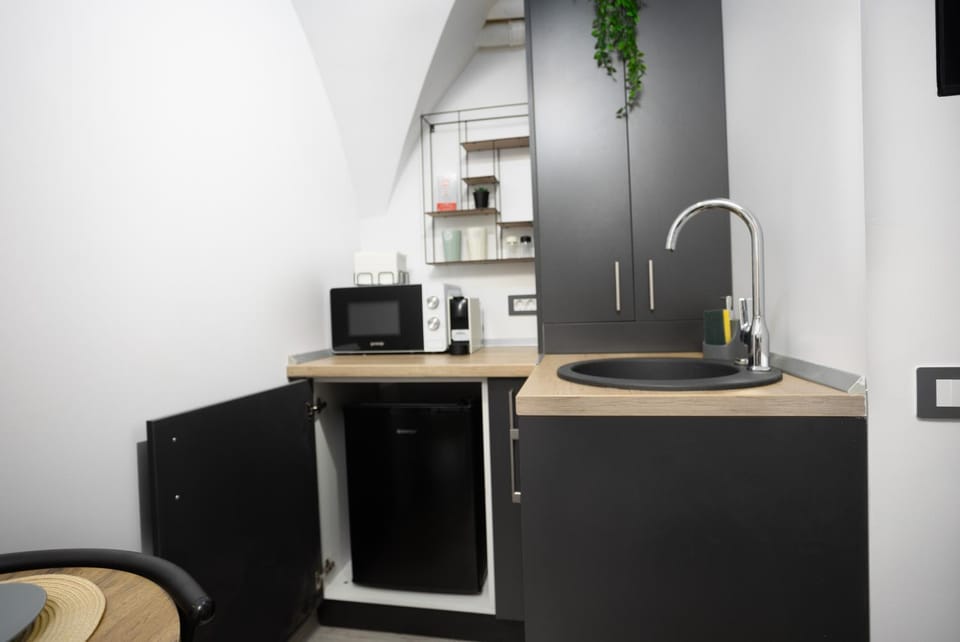 Kitchen or kitchenette, minibar, oven