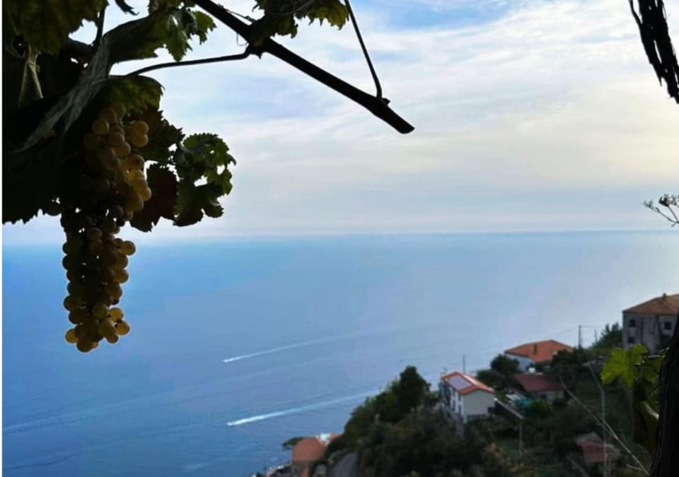 Natural landscape, Sea view