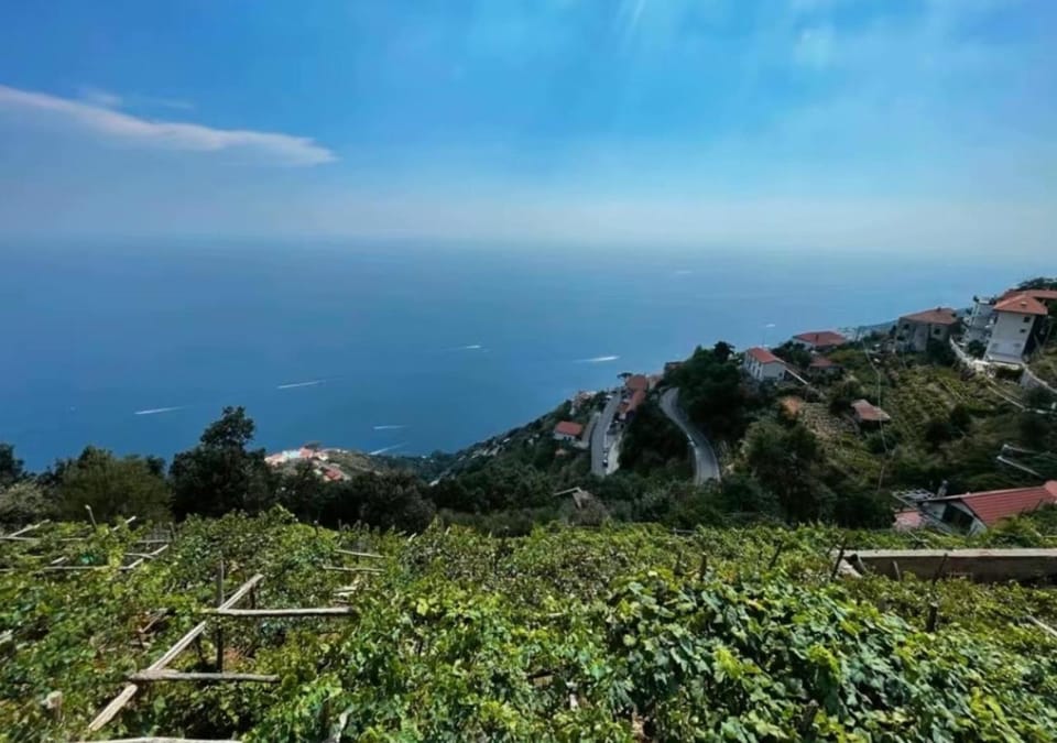 B&b La Vigna Bed and Breakfast in Furore