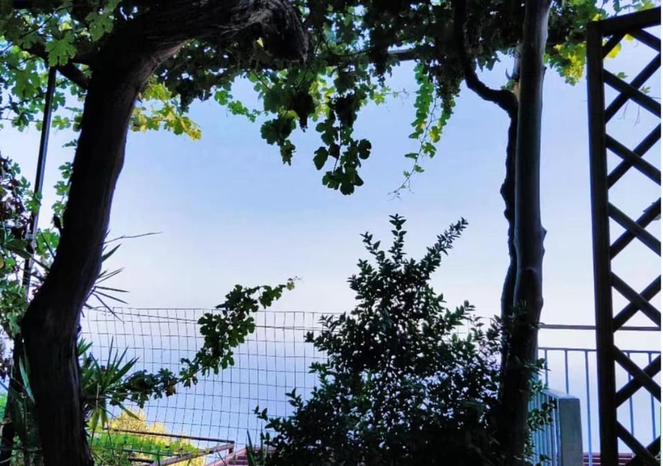 B&b La Vigna Bed and Breakfast in Furore