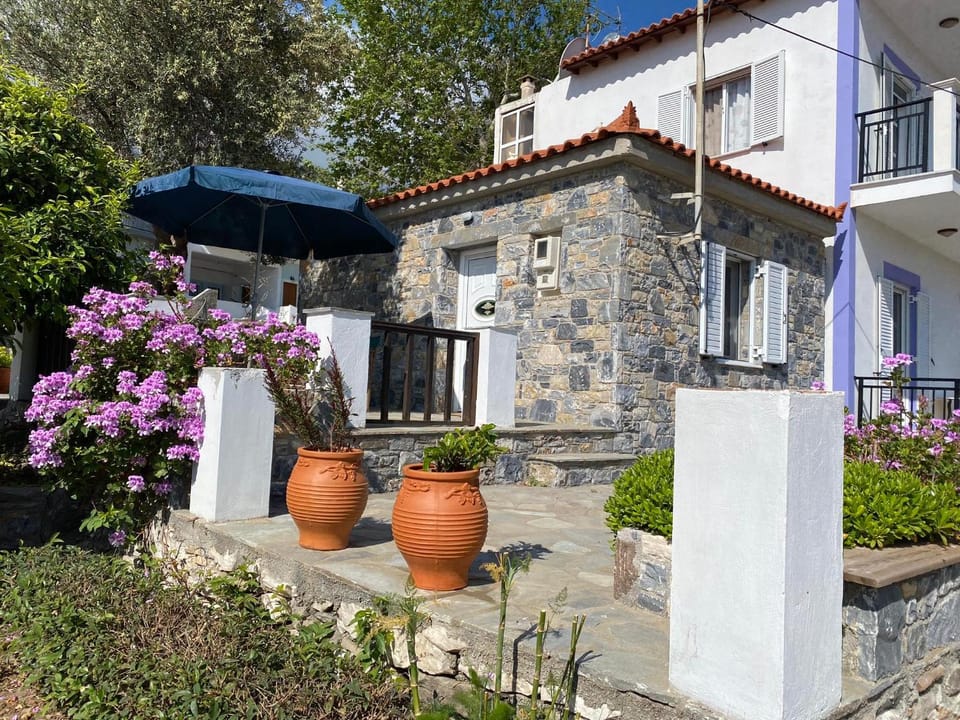 Property building, Day, Garden