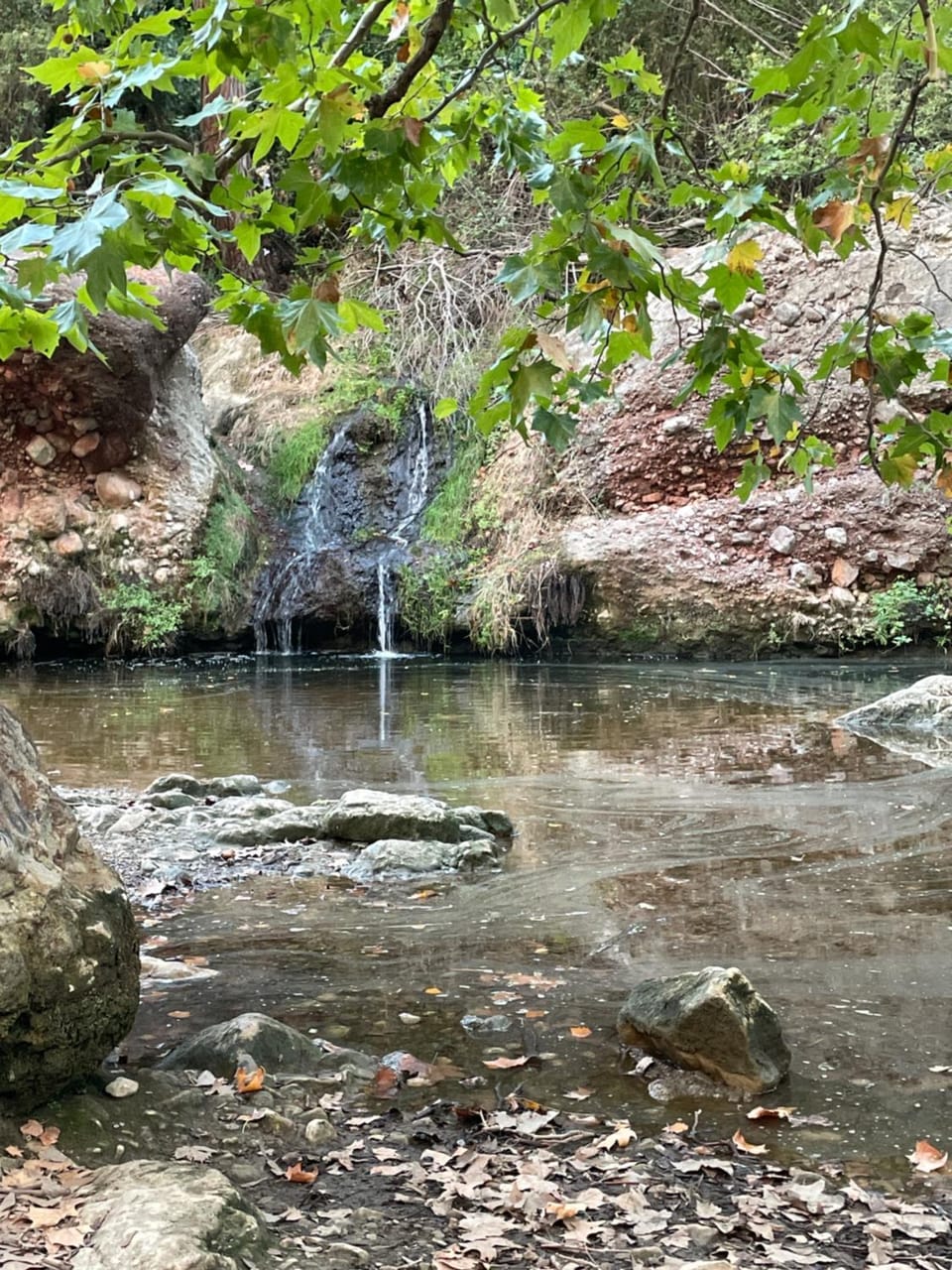 Natural landscape