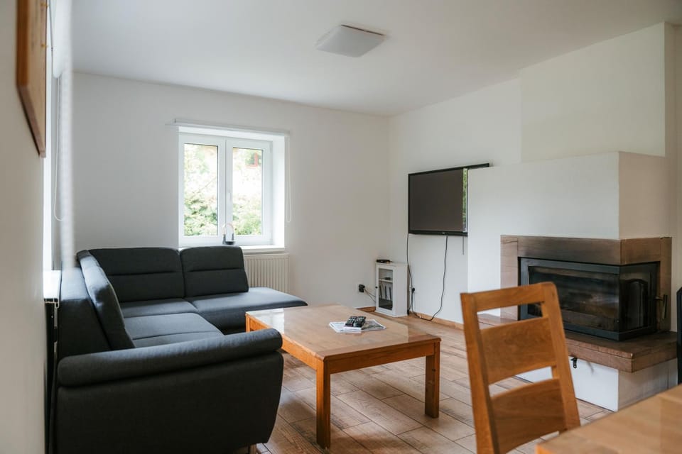 TV and multimedia, Living room, Seating area, Garden view, fireplace