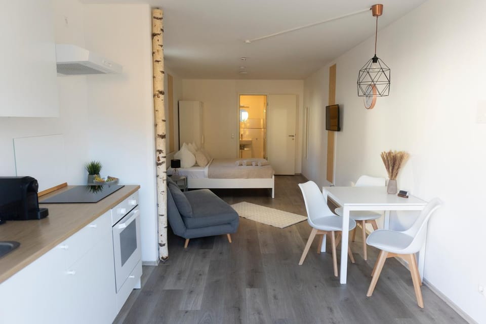 HUGOS Studio Apartment Apartment in Hesse