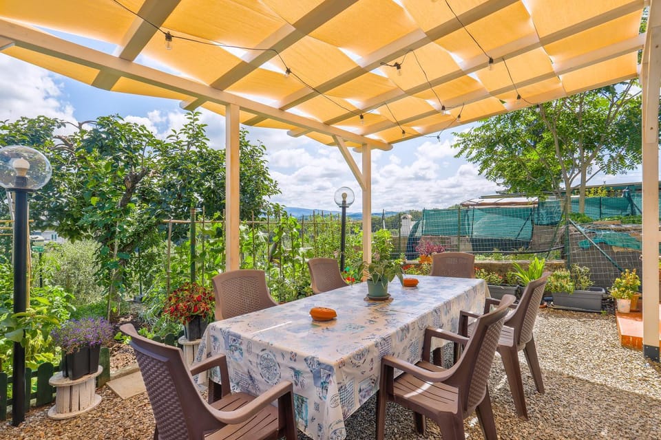 Spring, Day, Garden, View (from property/room), Dining area, Garden view