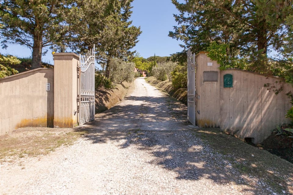 Garden, Street view