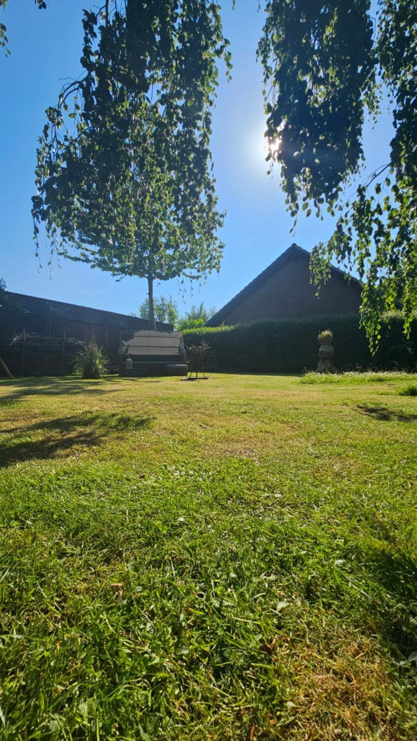 Spring, Day, Garden, Garden view