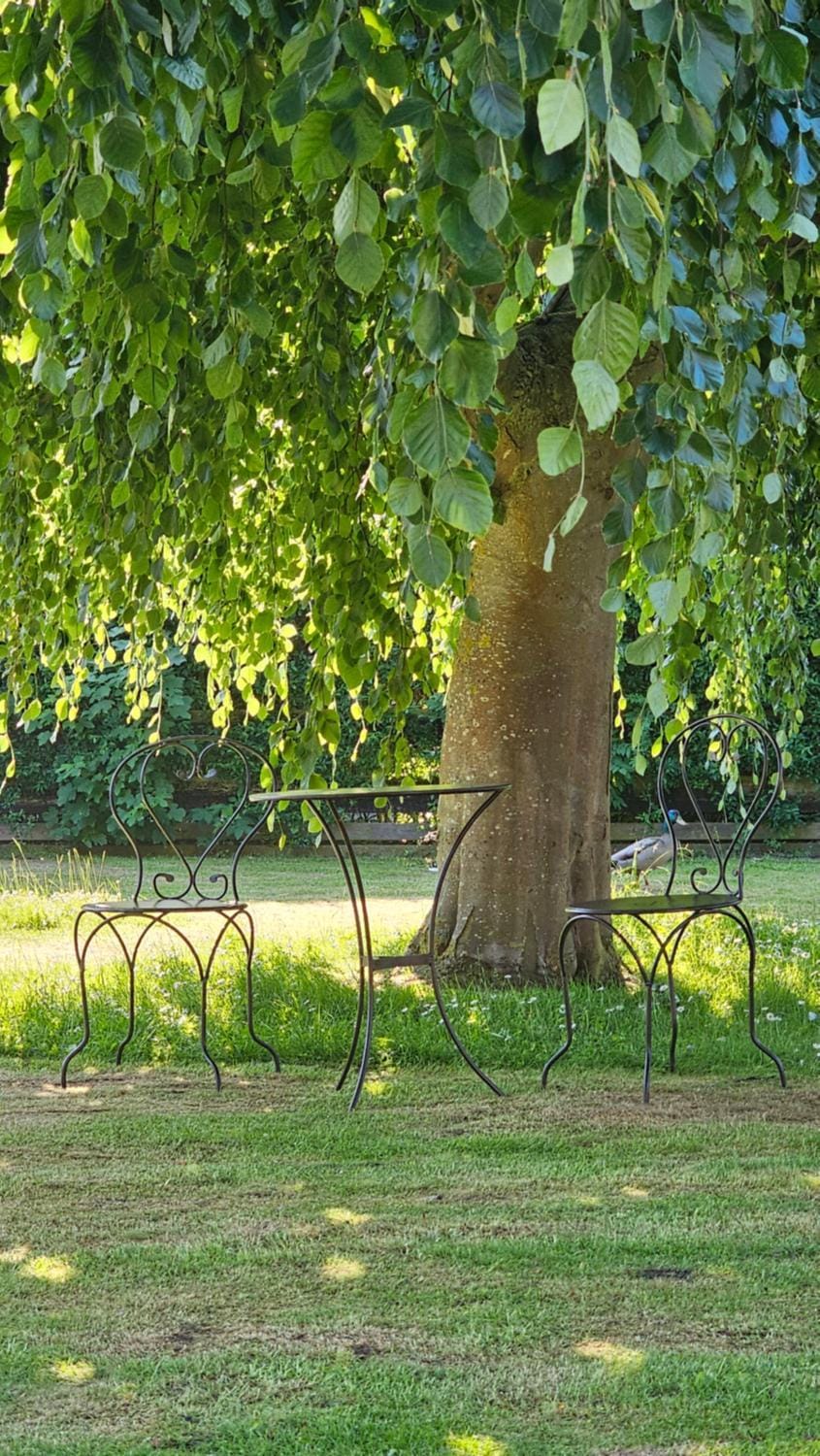 Spring, Natural landscape, Garden, Garden view