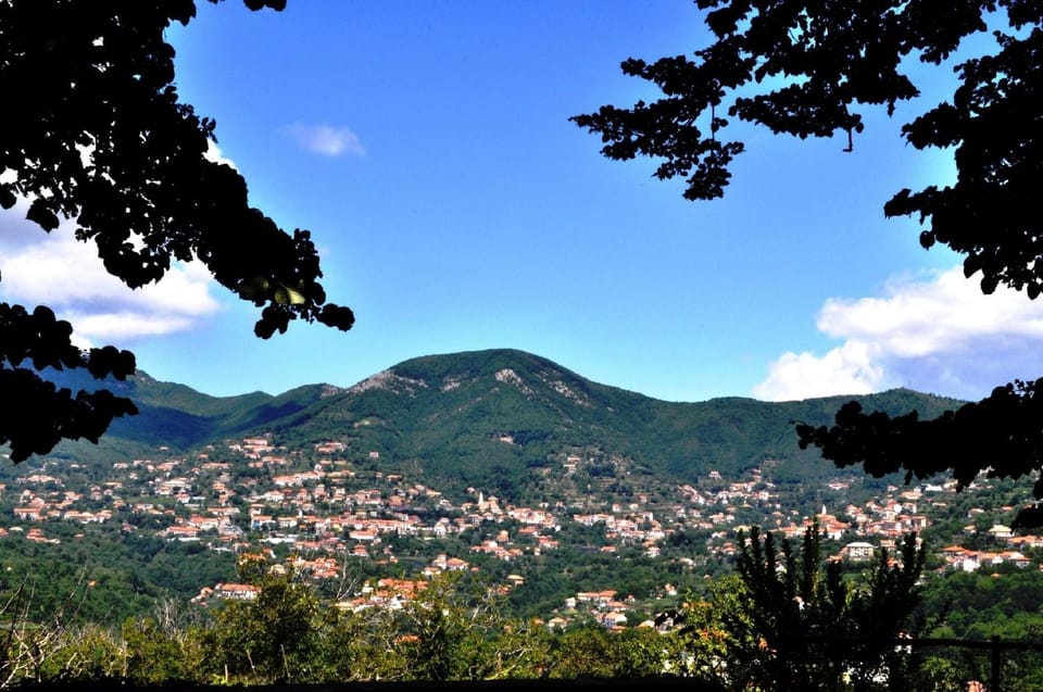 Natural landscape, City view