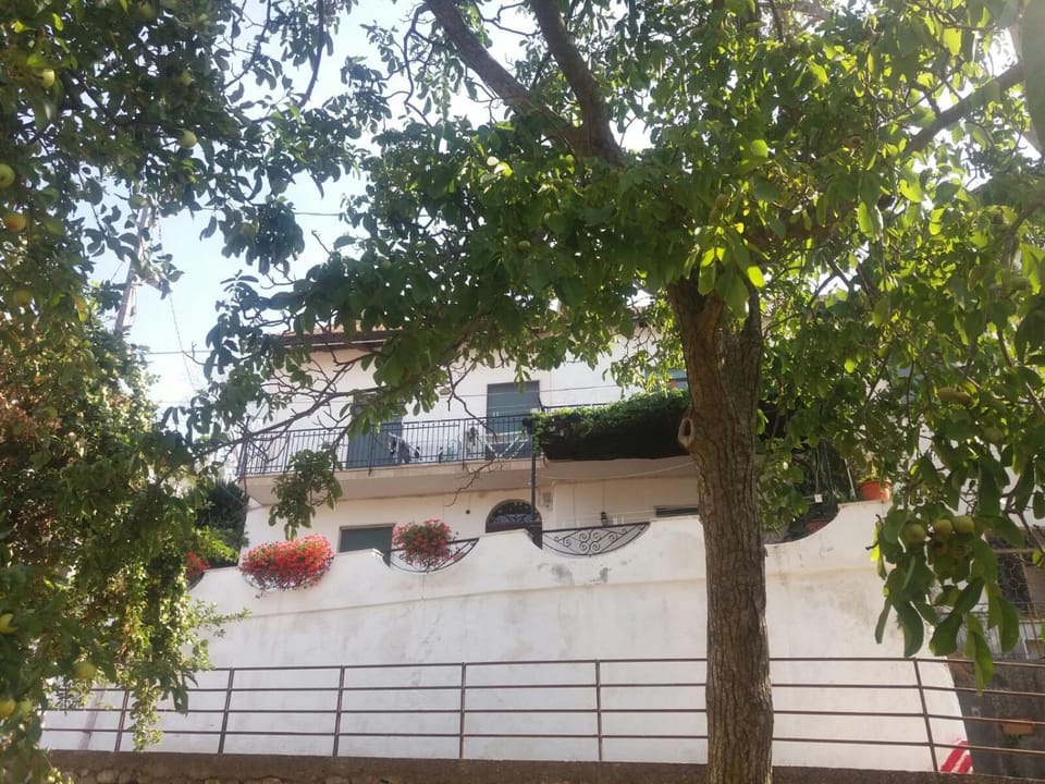 Toilet, Facade/entrance, View (from property/room), Quiet street view