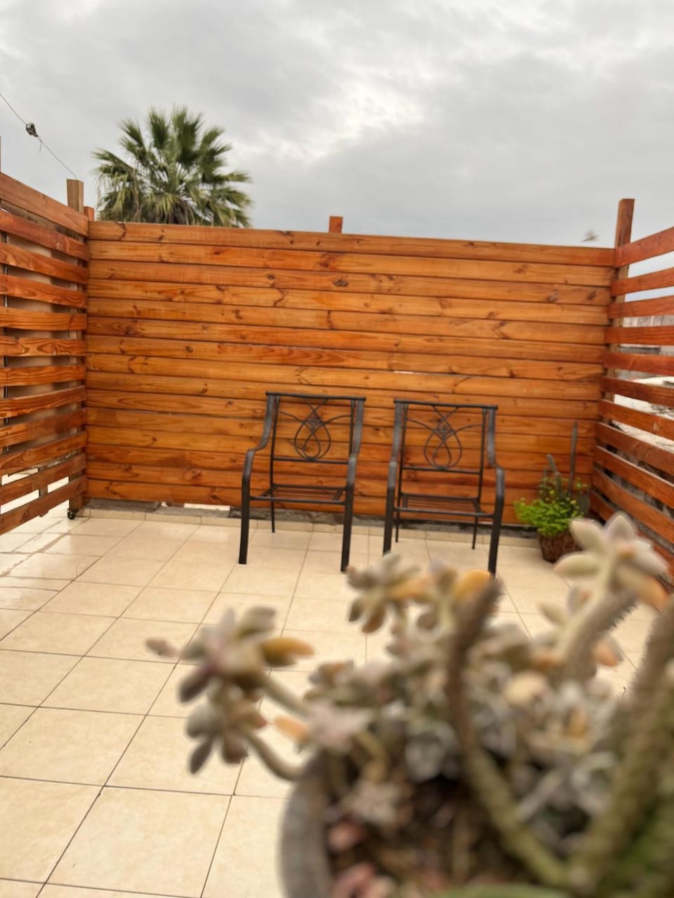 Los Cactus Planta Alta Apartment in La Rioja