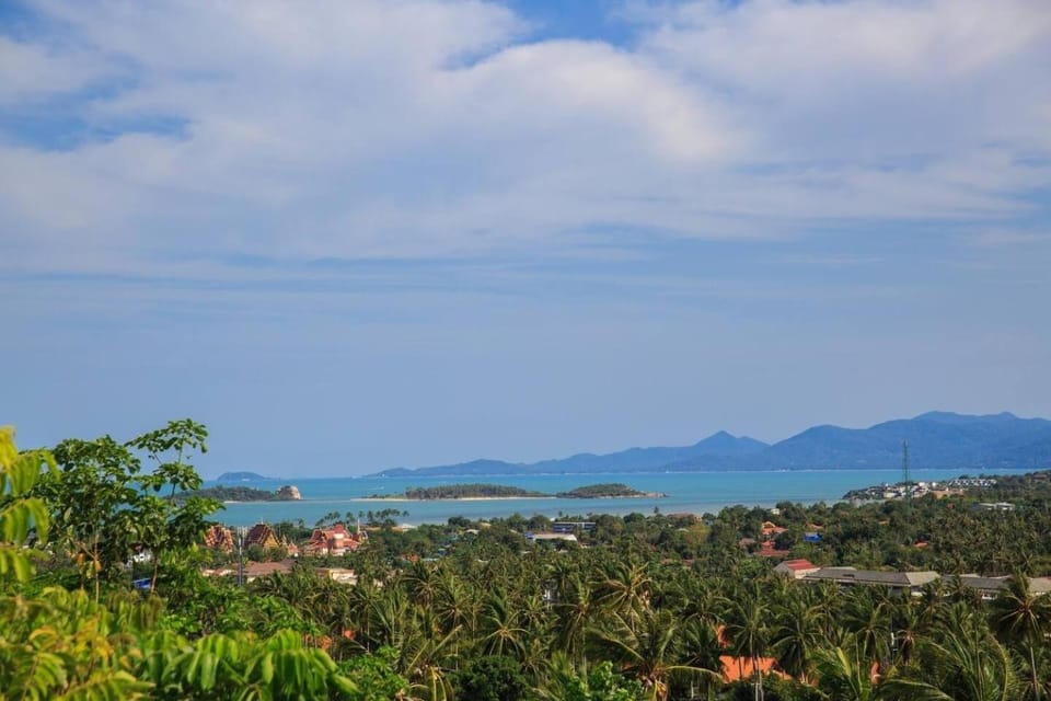 View (from property/room)
