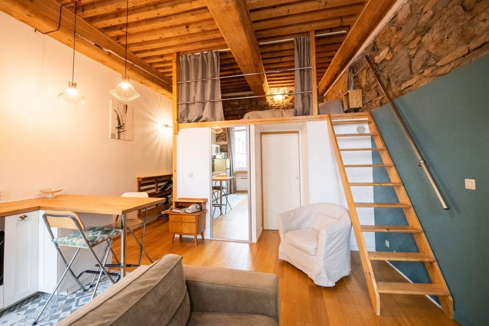 Le petit Imbert - studio chaleureux et cozy Apartment in Lyon