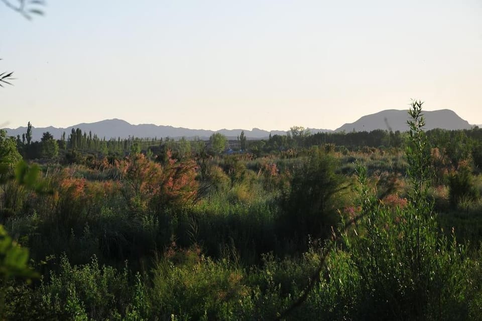 Cabaña Quinta La Gringa, San Rafael House in Mendoza Province Province