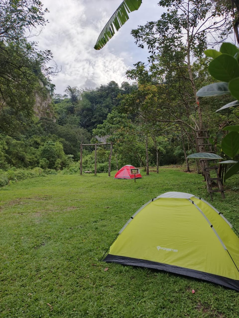 Natural landscape, Garden view