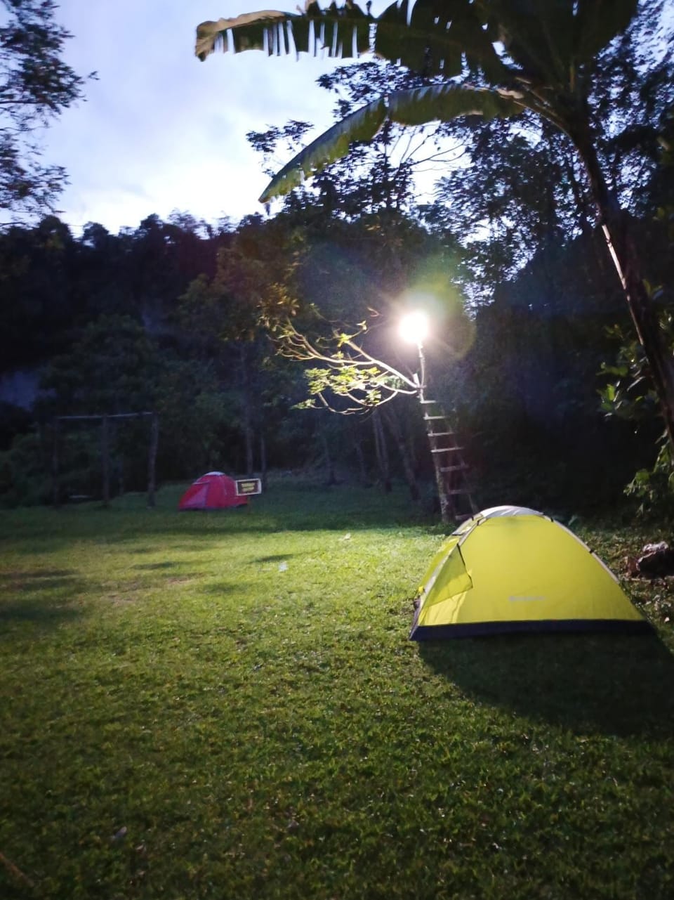 Garden view, Sunrise