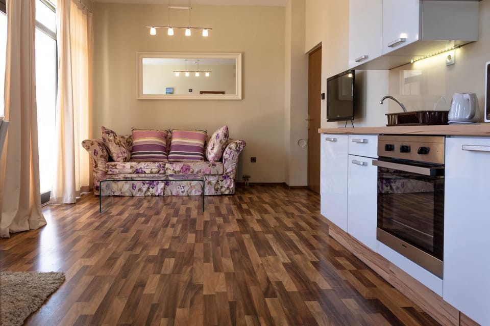 Kitchen or kitchenette, Living room, Seating area, minibar, pet friendly, stove