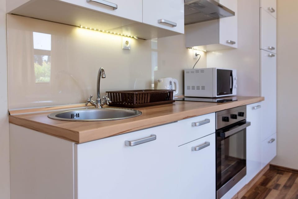 Kitchen or kitchenette, minibar, pet friendly, stove