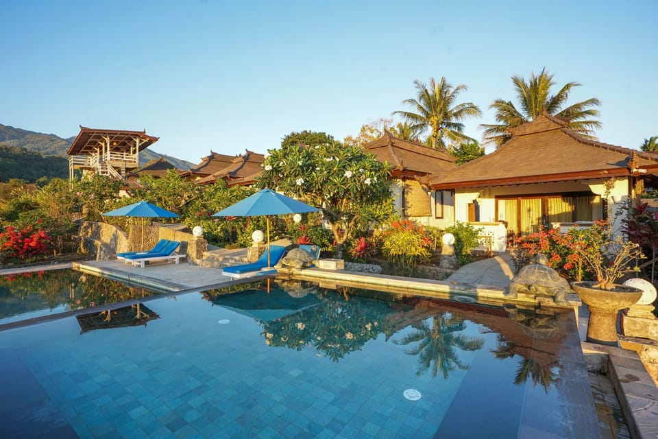 Patio, Garden, Garden, Swimming pool