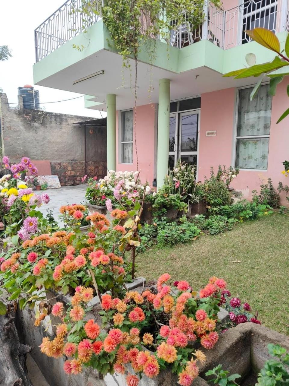 Property building