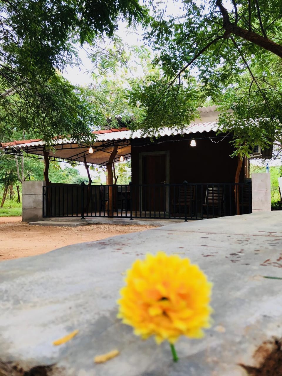 Garden, Garden view