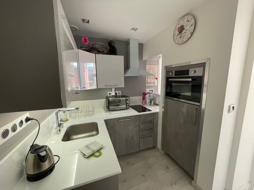 Kitchen or kitchenette, dishwasher, minibar, oven, pet friendly, stove, toaster