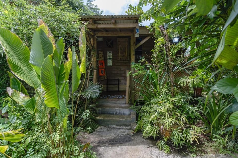 Property building, Facade/entrance, Natural landscape, Garden view