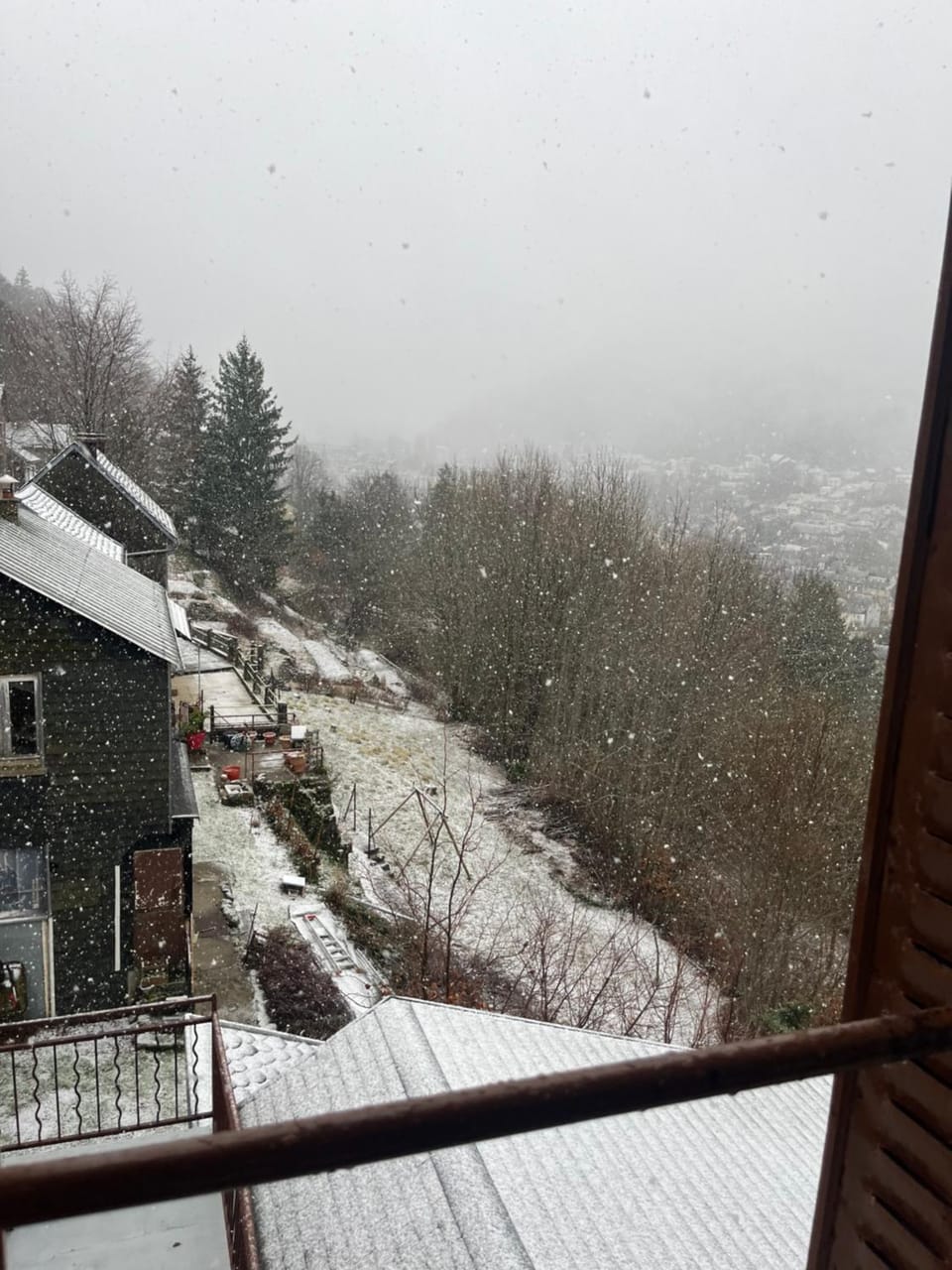 Winter