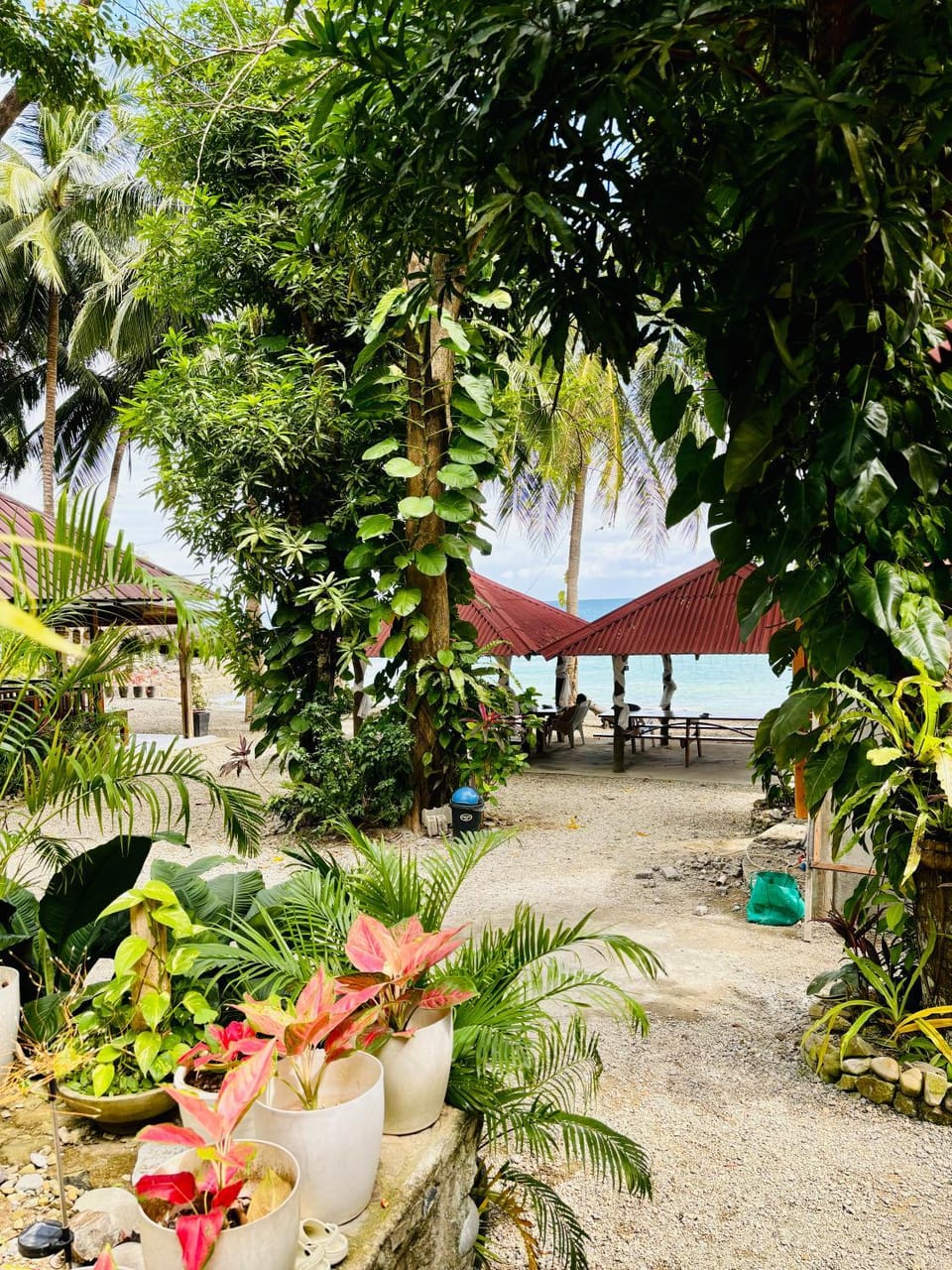 Beach, Garden view, Sea view