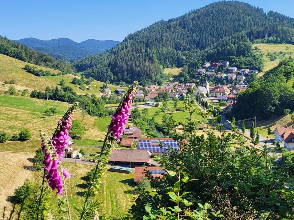 Hotel Walkenstein Hotel in Ortenau