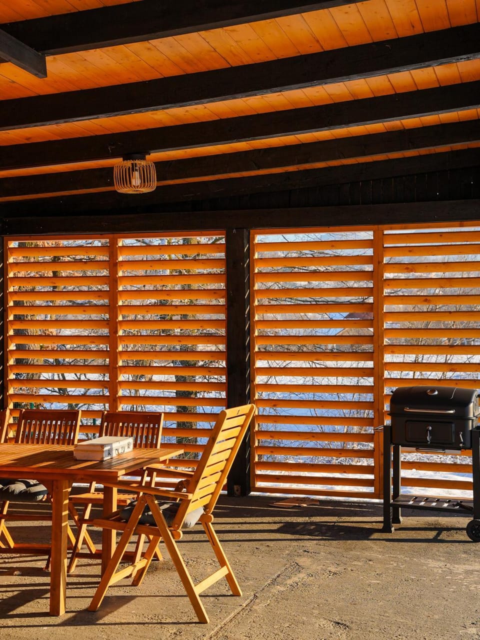 Patio, Day, BBQ facilities, Seating area, Dining area