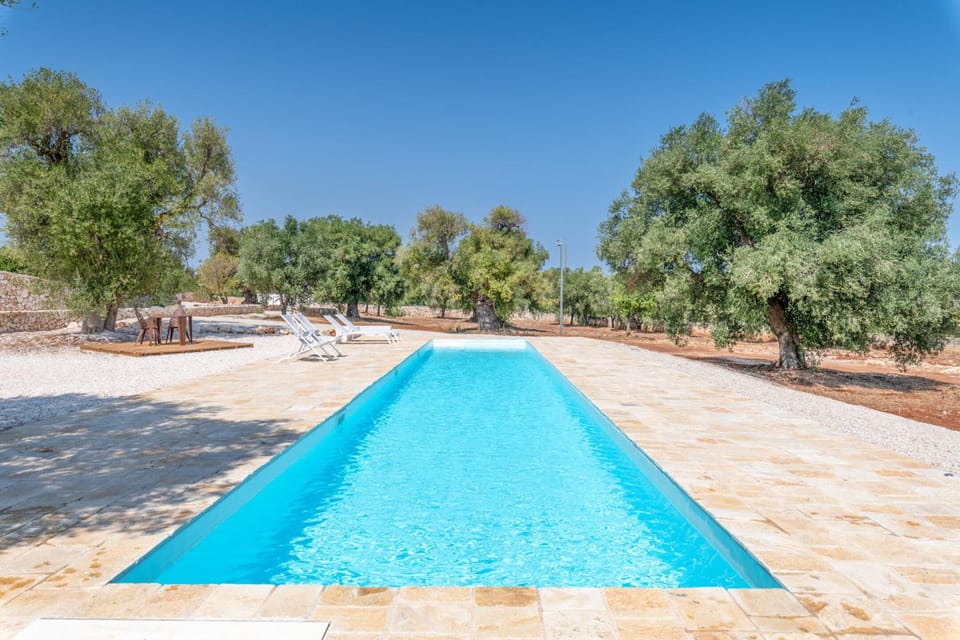 Day, Natural landscape, Garden, Garden, Garden view, Pool view, Swimming pool, Swimming pool, sunbed