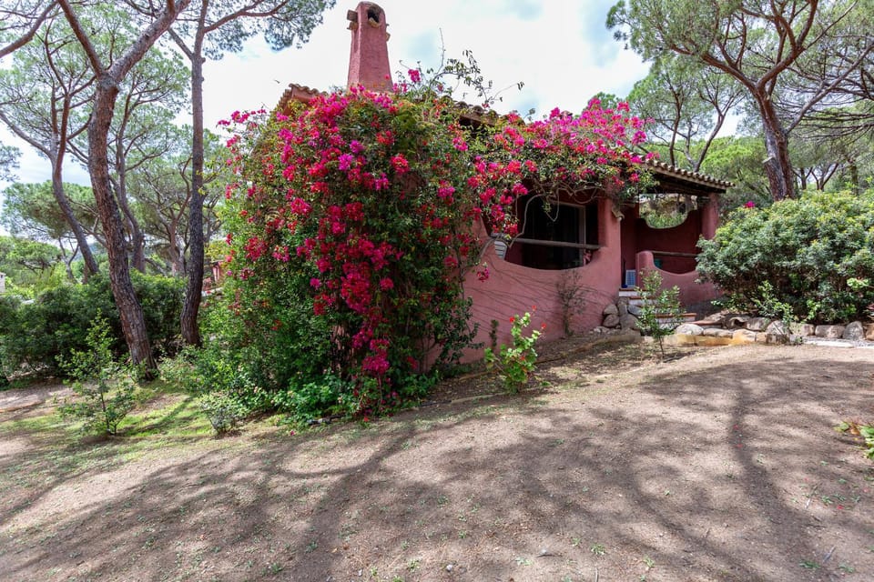 Day, Garden view