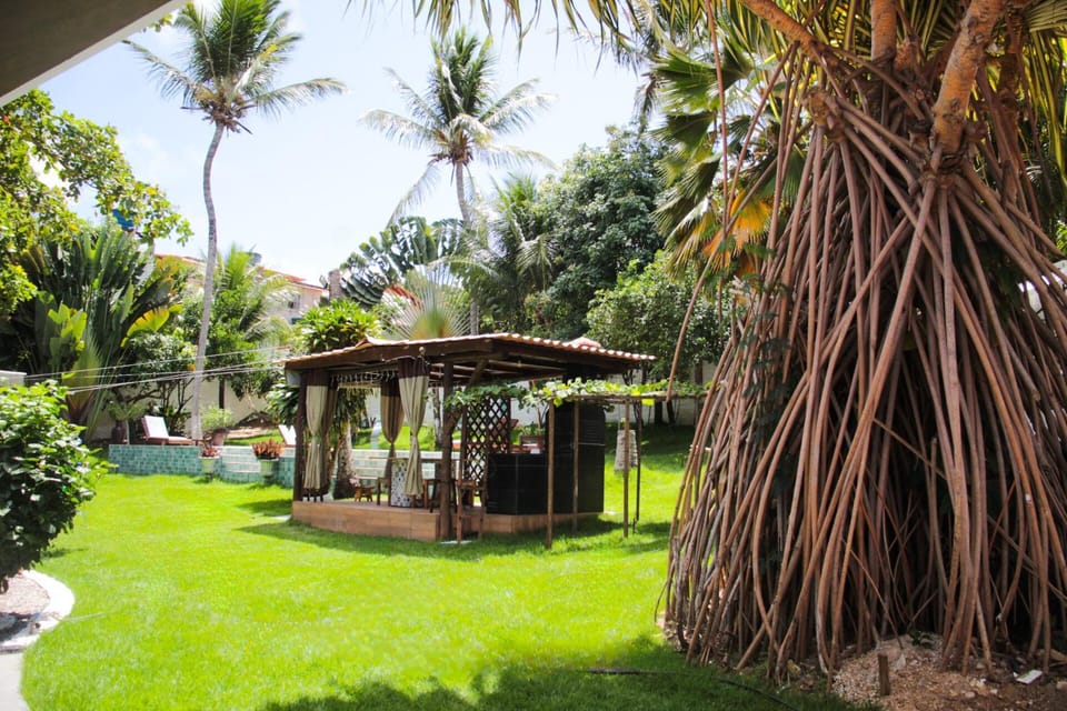 Natural landscape, Garden, Garden view