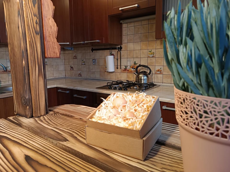 Kitchen or kitchenette, Dining area, Breakfast, minibar, stove