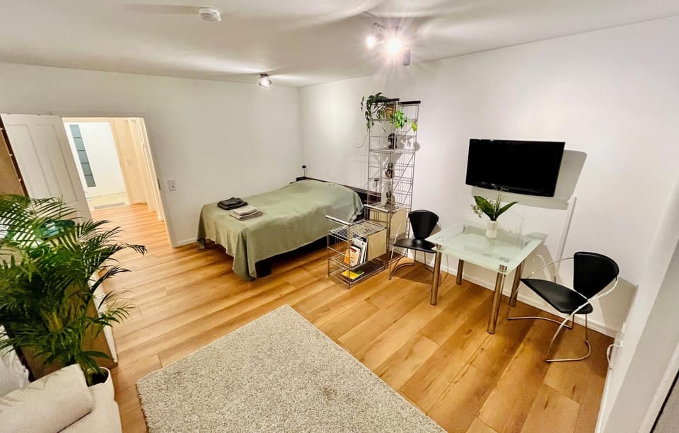 Bed, TV and multimedia, Photo of the whole room