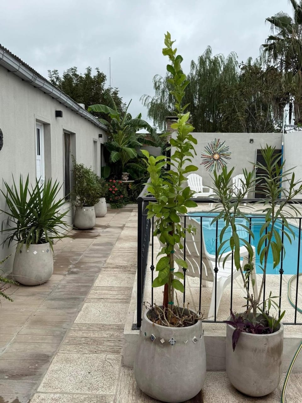 Garden view