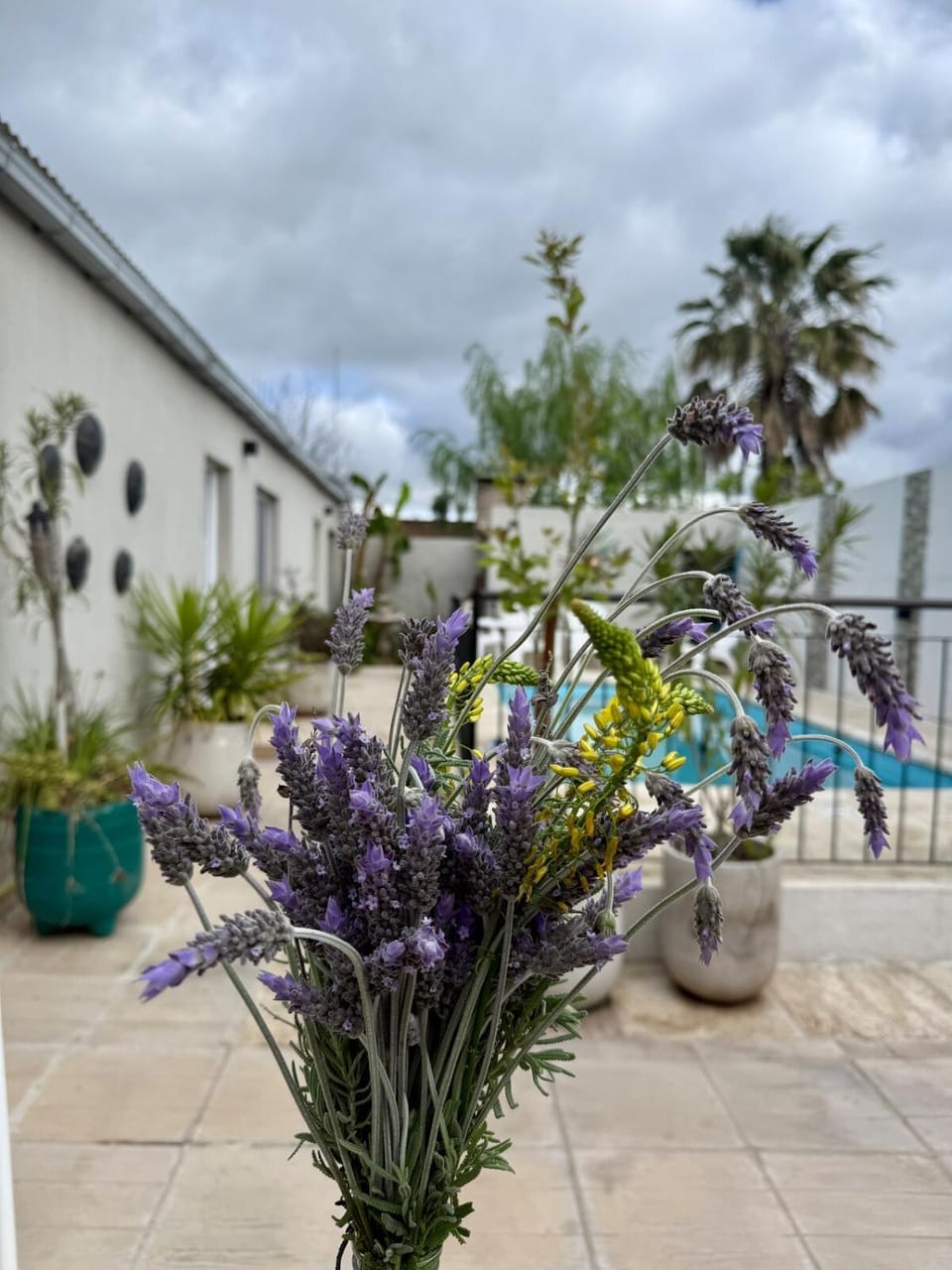 Garden, Pool view, Swimming pool
