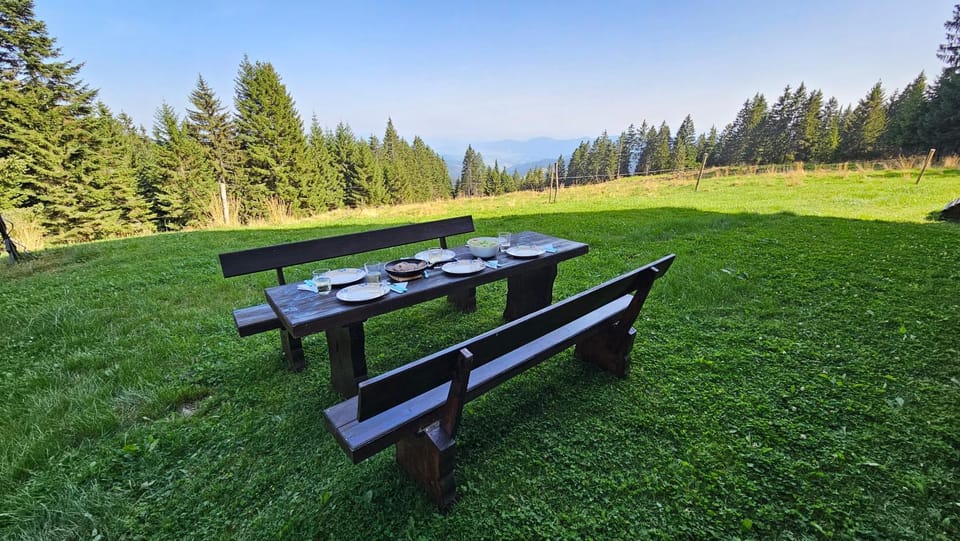 Day, Natural landscape, Garden, Garden view