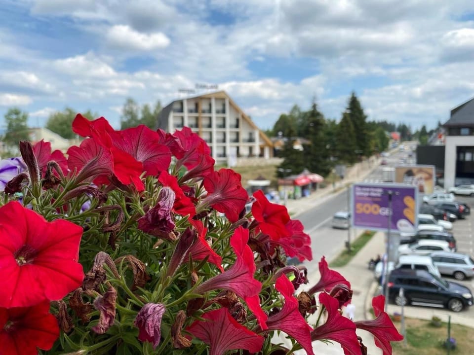 Apartment Zabljak Center Apartment in Montenegro