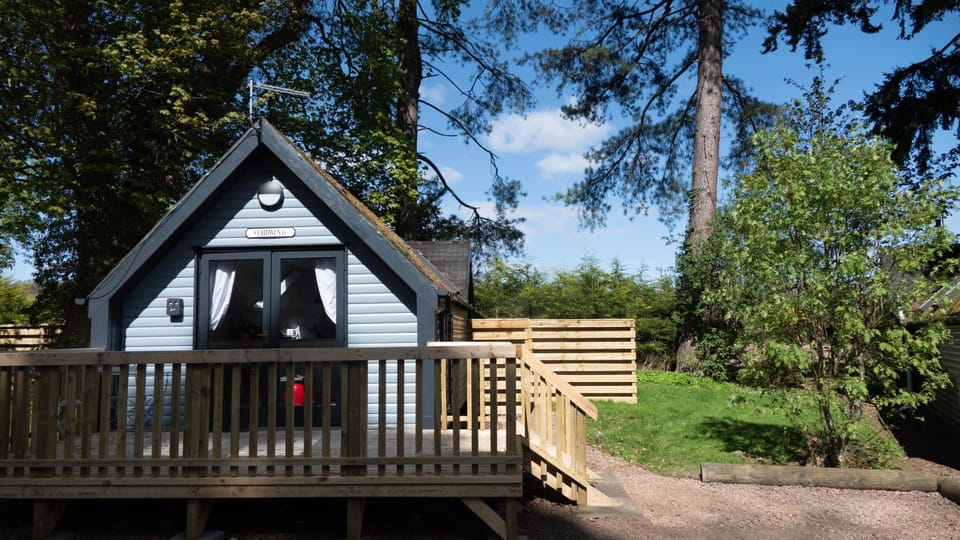 Garden, Balcony/Terrace