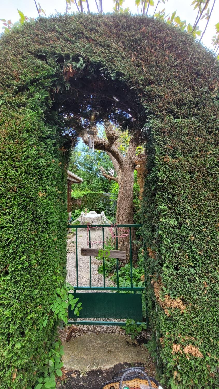 Garden, Garden view