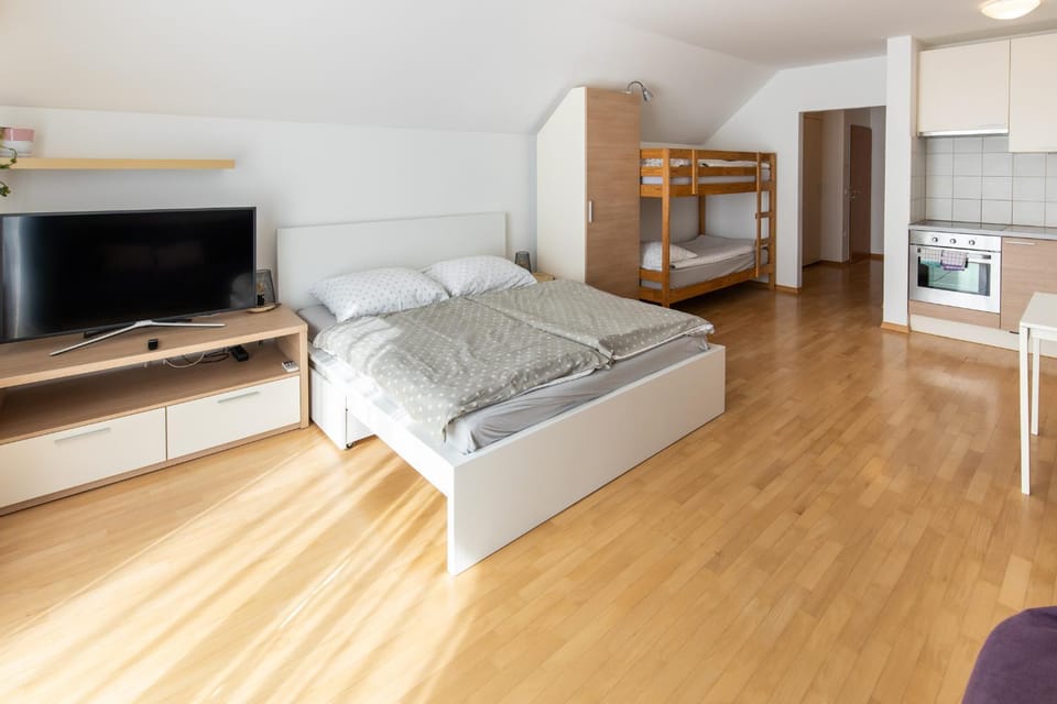 Bed, TV and multimedia