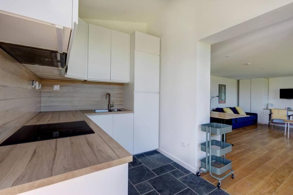 La Loge des Volcans - Vue Puy De Dôme Apartment in Auvergne-Rhône-Alpes