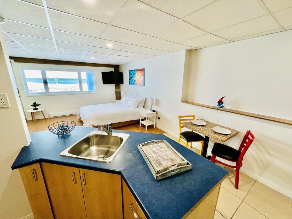 Bed, TV and multimedia, Kitchen or kitchenette, Photo of the whole room, Dining area, Bedroom