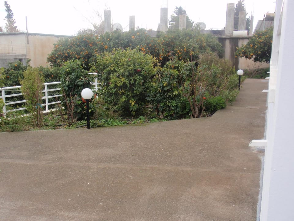 Garden view
