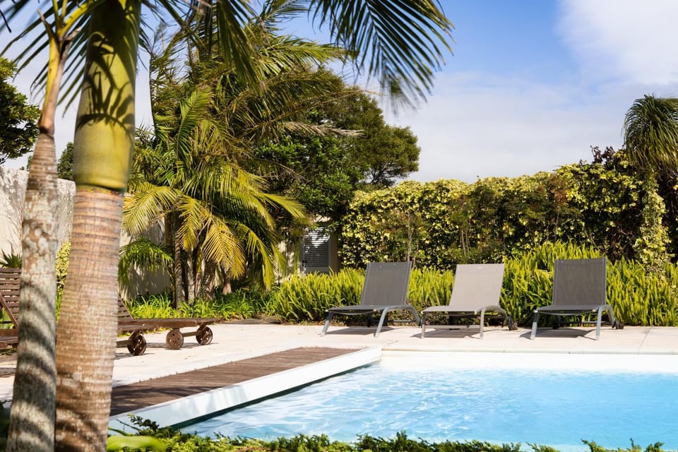 Garden, Garden view, Pool view, Swimming pool, Swimming pool, sunbed
