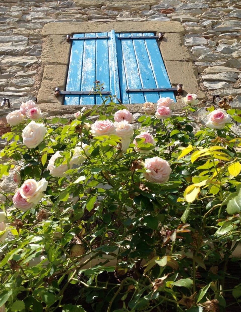 Patio, Spring, Decorative detail