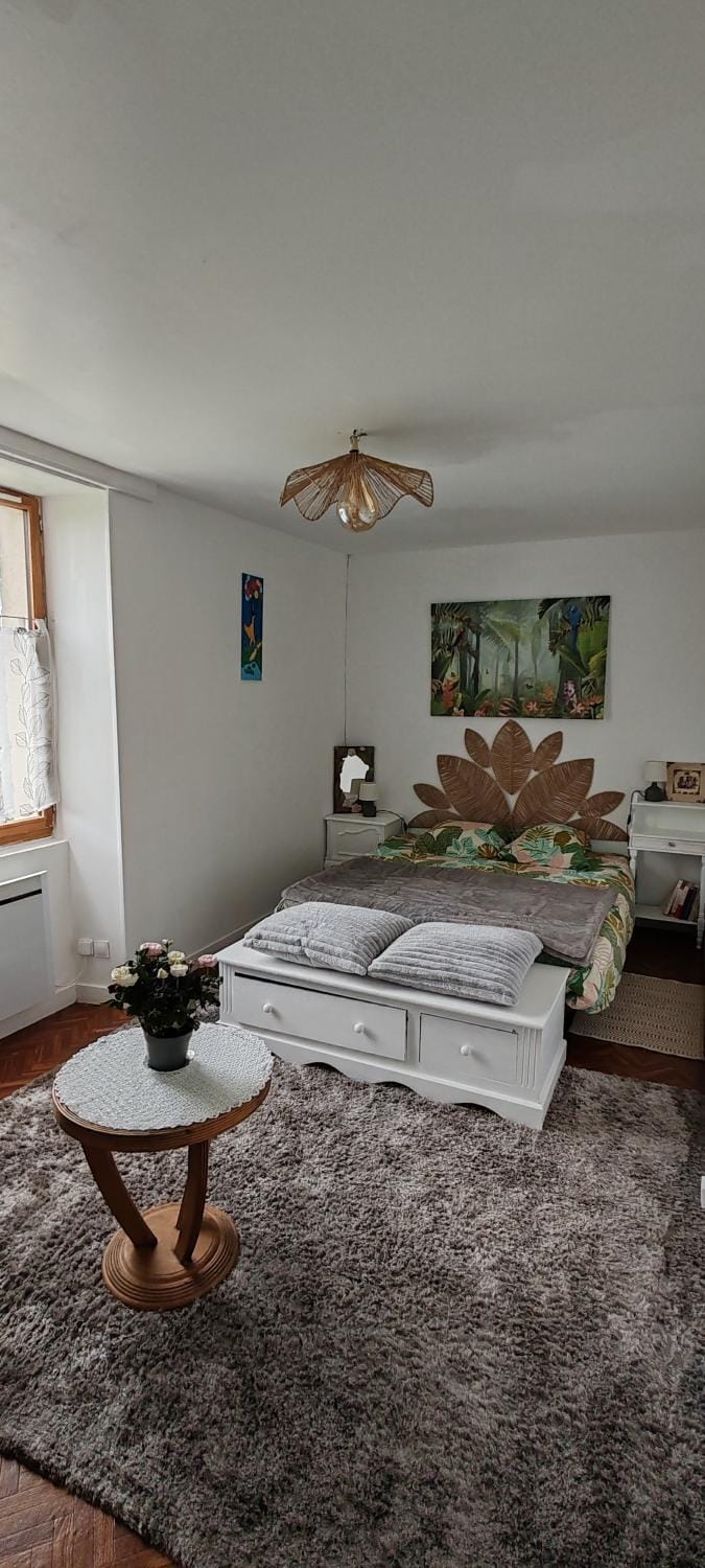 Gîte 4 personnes 4 étoiles proche cure thermale, Futuroscope, calme et nature à La Roche Posay House in Centre-Val de Loire